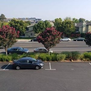 Meet your Posher, Ali